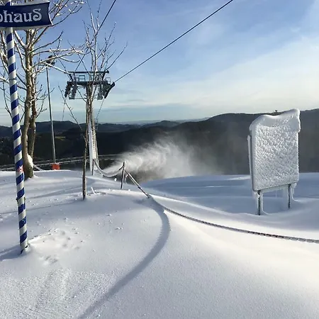 Haus Ina - Ferienwohnung Rondar Winterberg Exterior foto