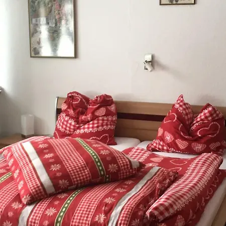 Haus Ina - Ferienwohnung Rondar Winterberg Exterior foto